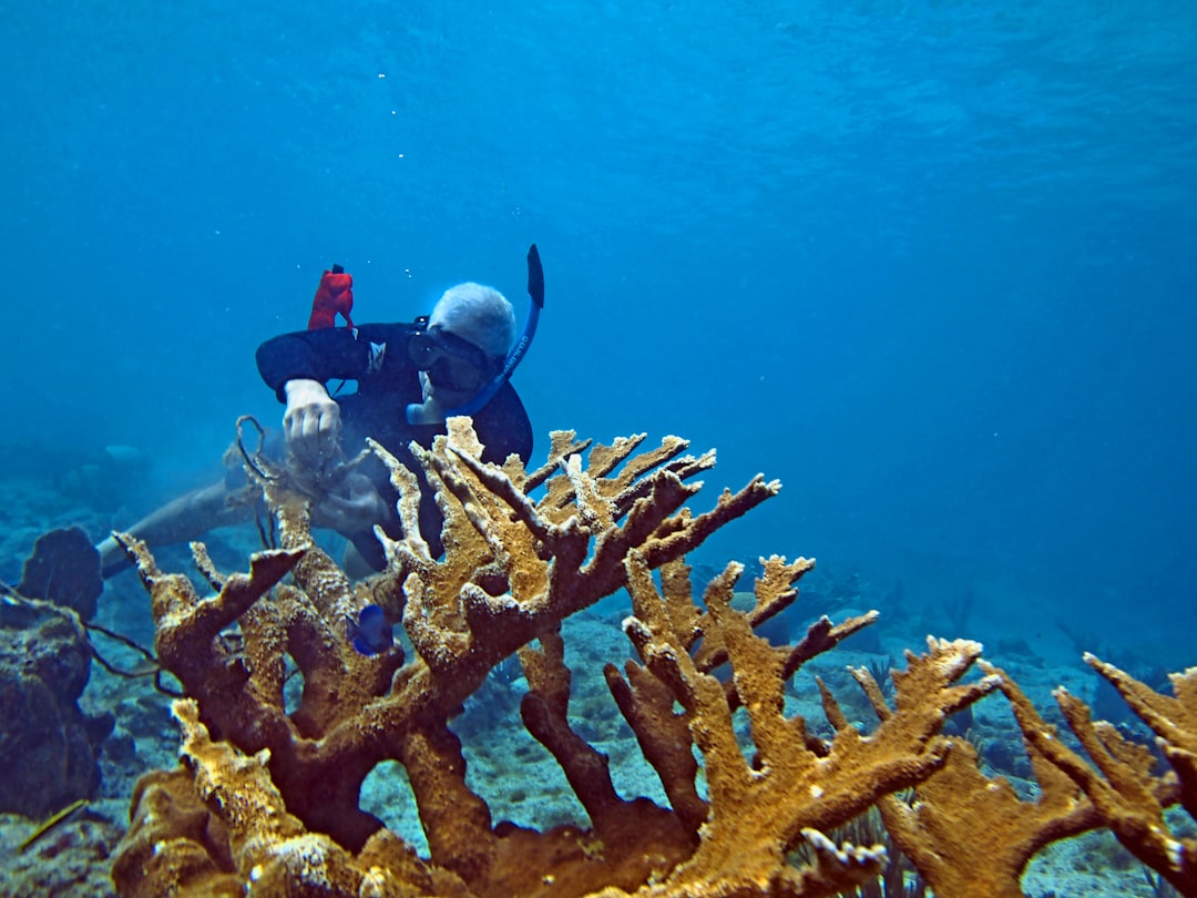 Photo Snorkeling gear